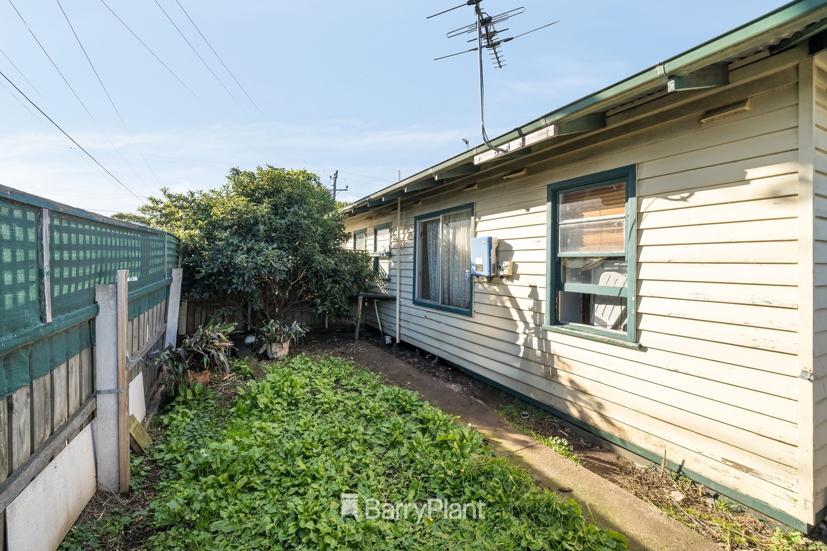 13 Alkira Avenue, Norlane, VIC 3214, Norlane - Thumbnail 5