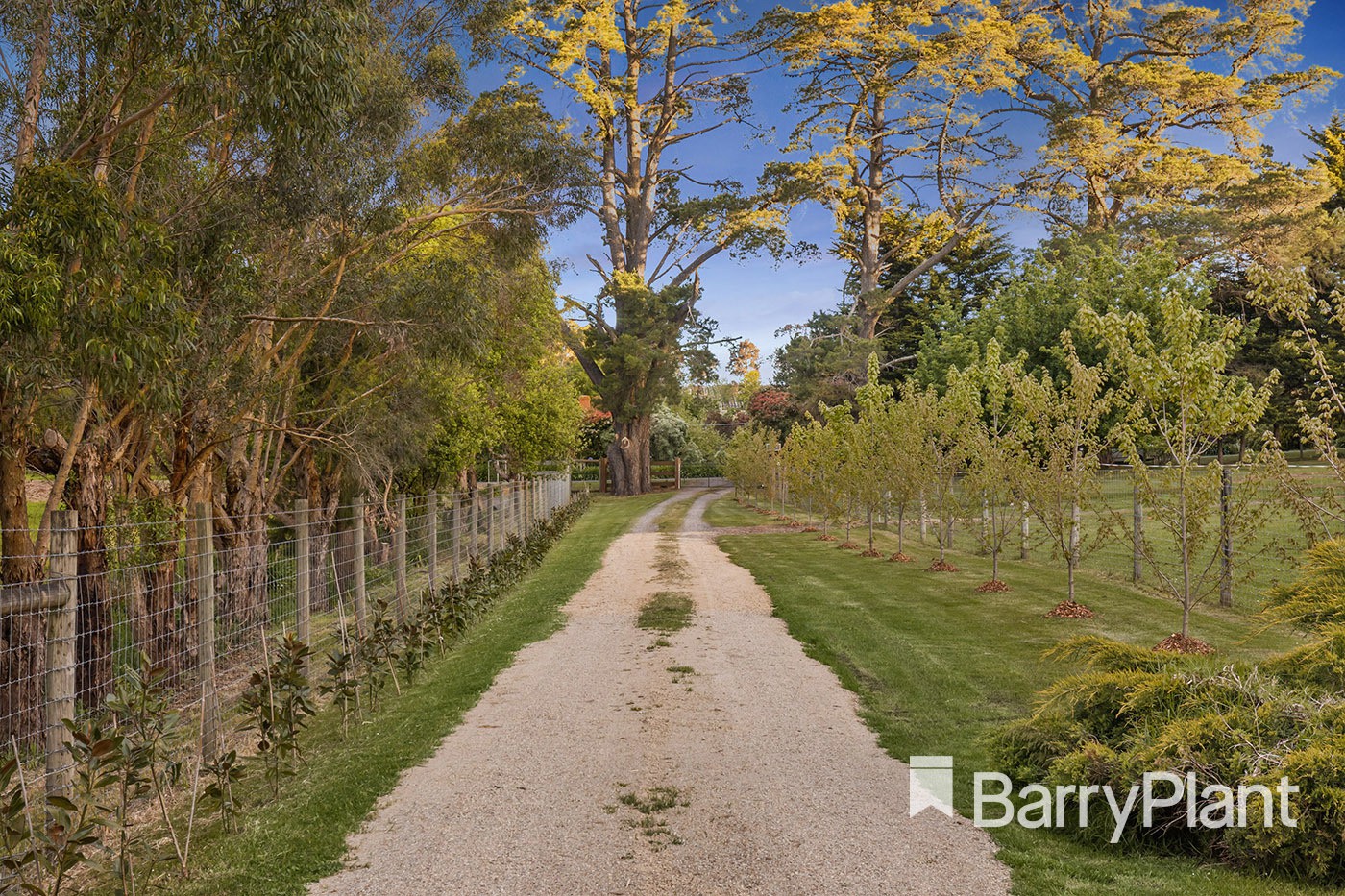 13 Bamfield RoadMount Evelyn, VIC 3796, Mount Evelyn - Thumbnail 2