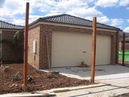 13 Bougainvillea Drive, Point Cook, VIC 3030, Point Cook - Thumbnail 3