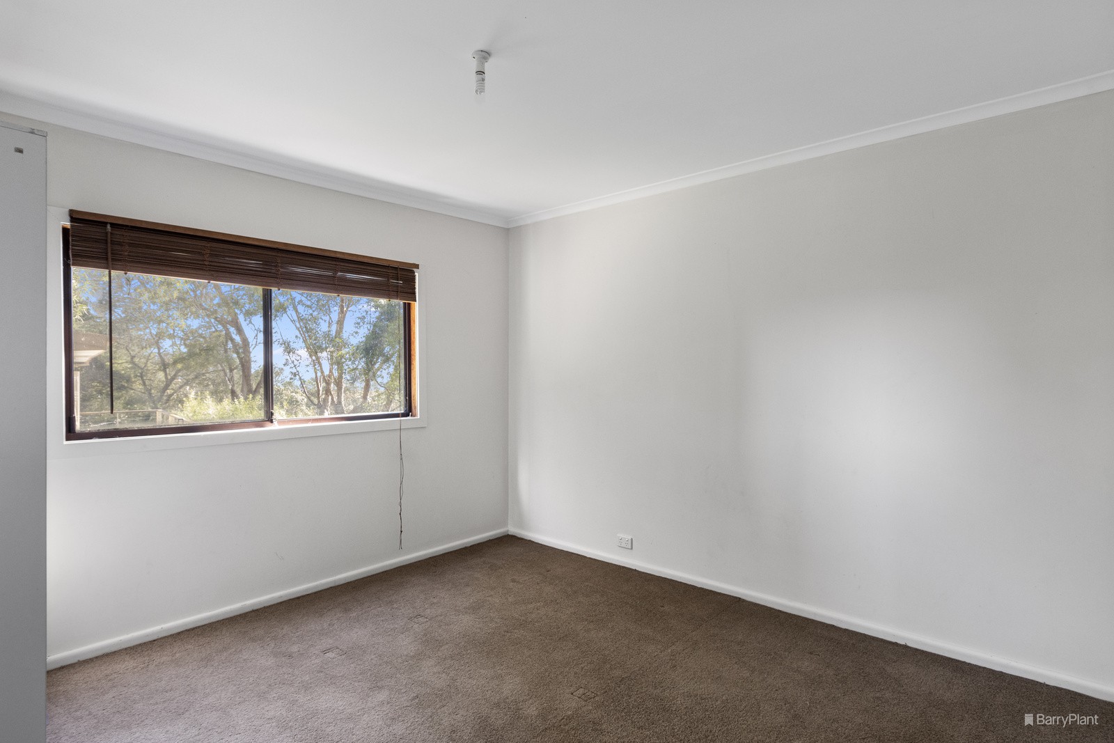 13 Government Road, The Basin, VIC 3154, The Basin - Thumbnail 3