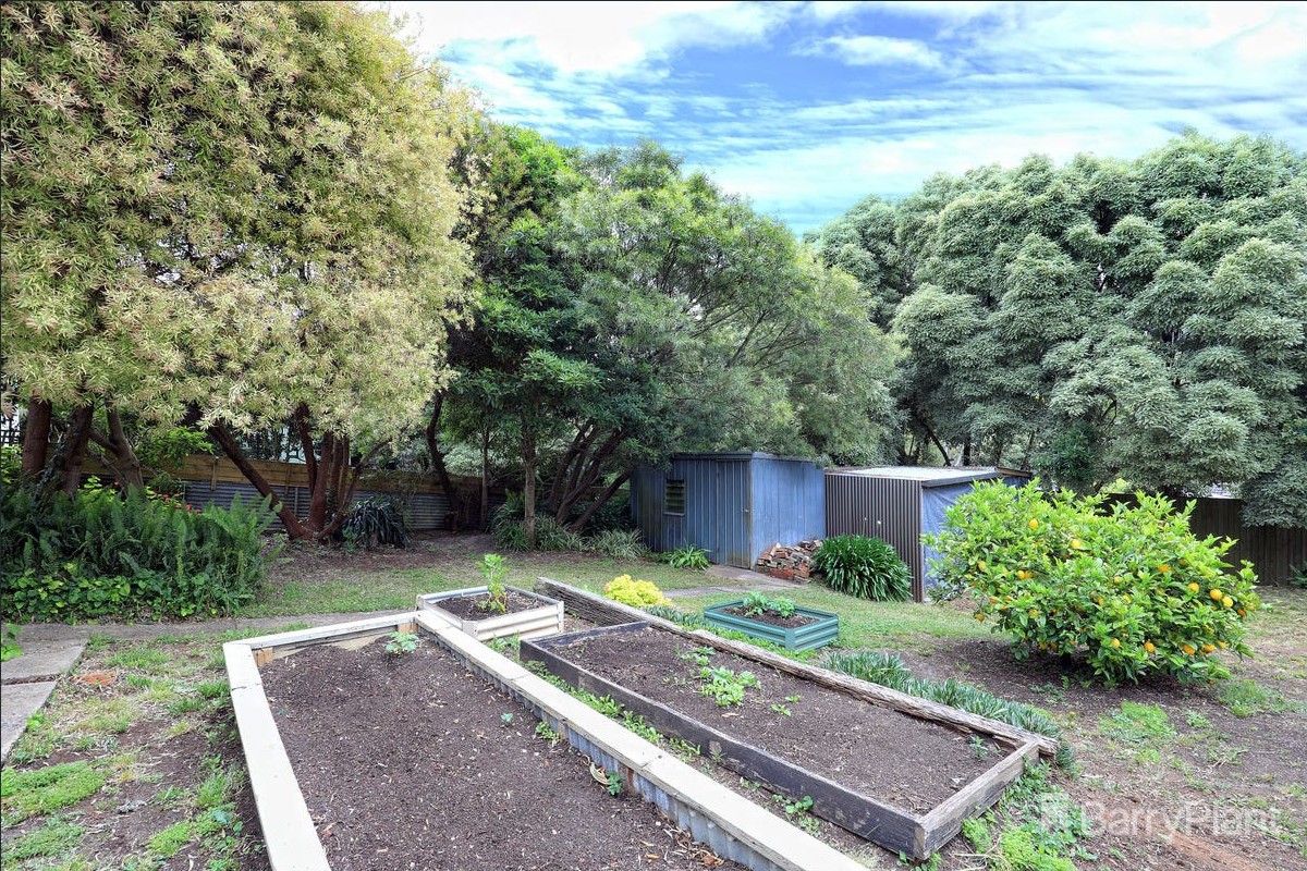 13 Haig Av, Monbulk, VIC 3793, Monbulk - Thumbnail 5