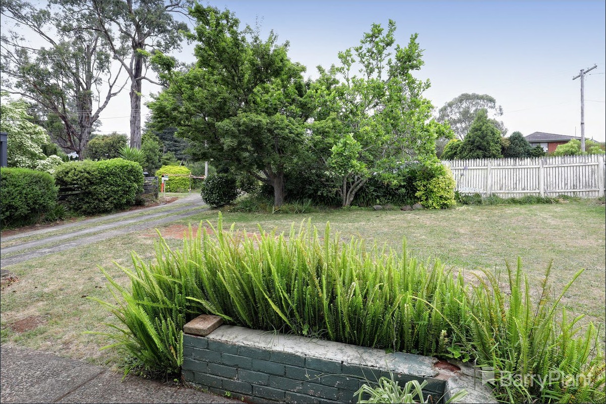 13 Haig Av, Monbulk, VIC 3793, Monbulk - Thumbnail 3