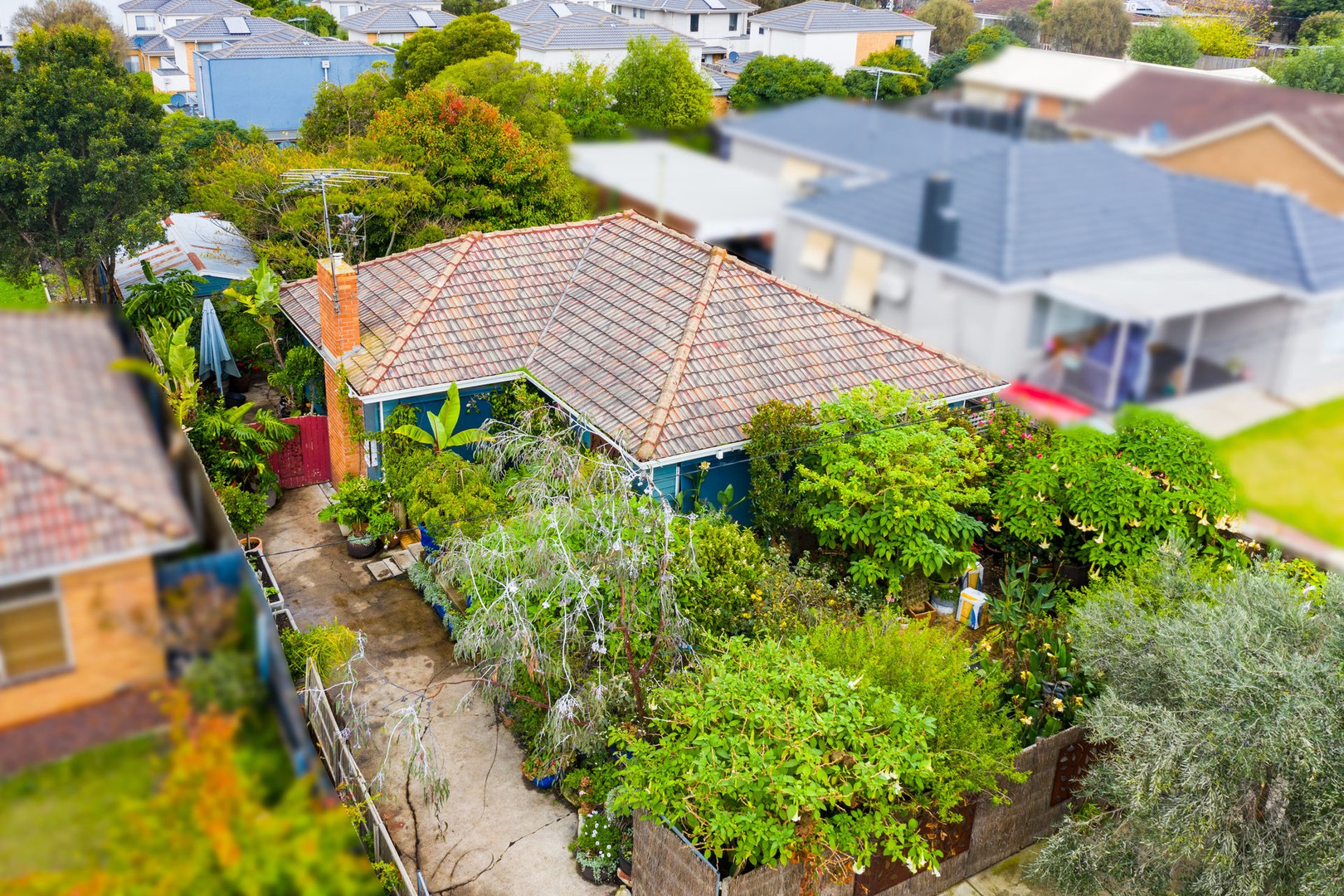 13 Nagle Drive, Belmont, VIC 3216, Belmont - Thumbnail 2