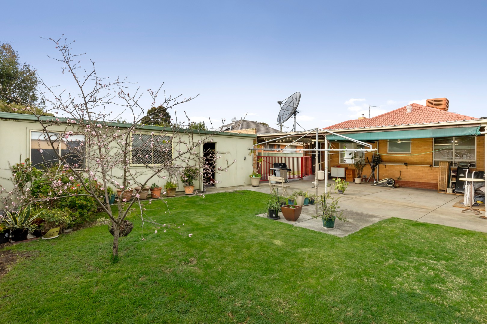 13 Tadstan Drive, Tullamarine, VIC 3043, Tullamarine - Thumbnail 5