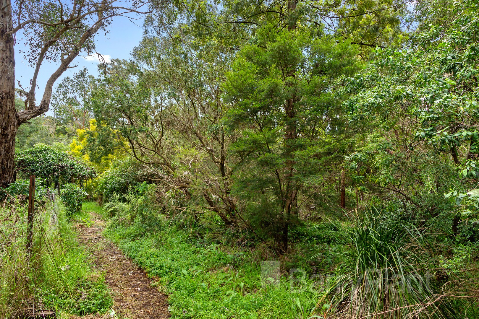13 Vaughan Road, Ferntree Gully, VIC 3156, Ferntree Gully - Thumbnail 8