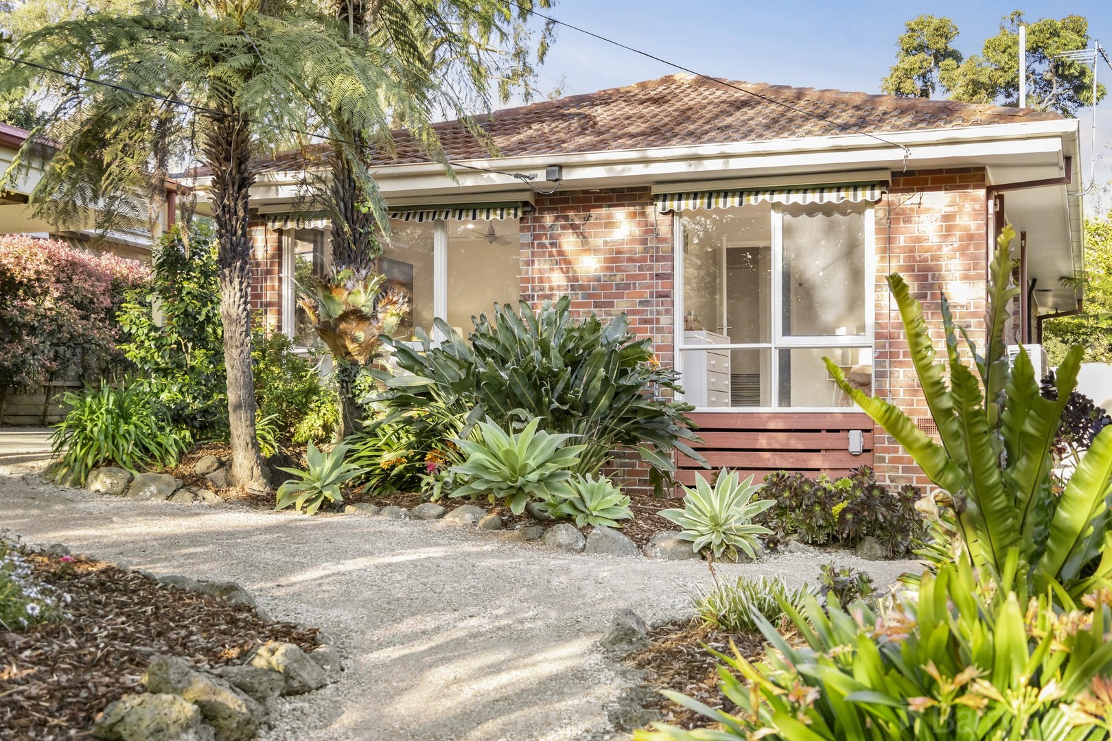 13 Waterloo Street, Heathmont, VIC 3135, Heathmont - Thumbnail 3