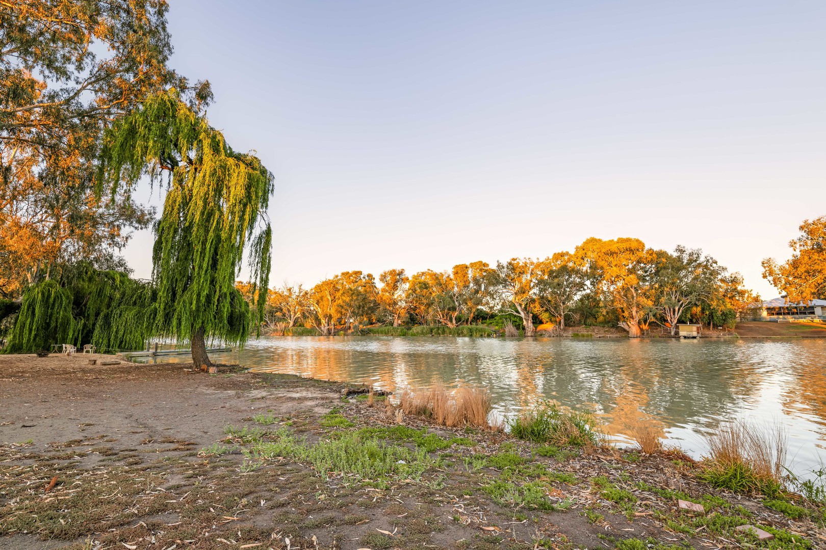 133 Darling Street, Wentworth, NSW 2648, Wentworth - Thumbnail 3