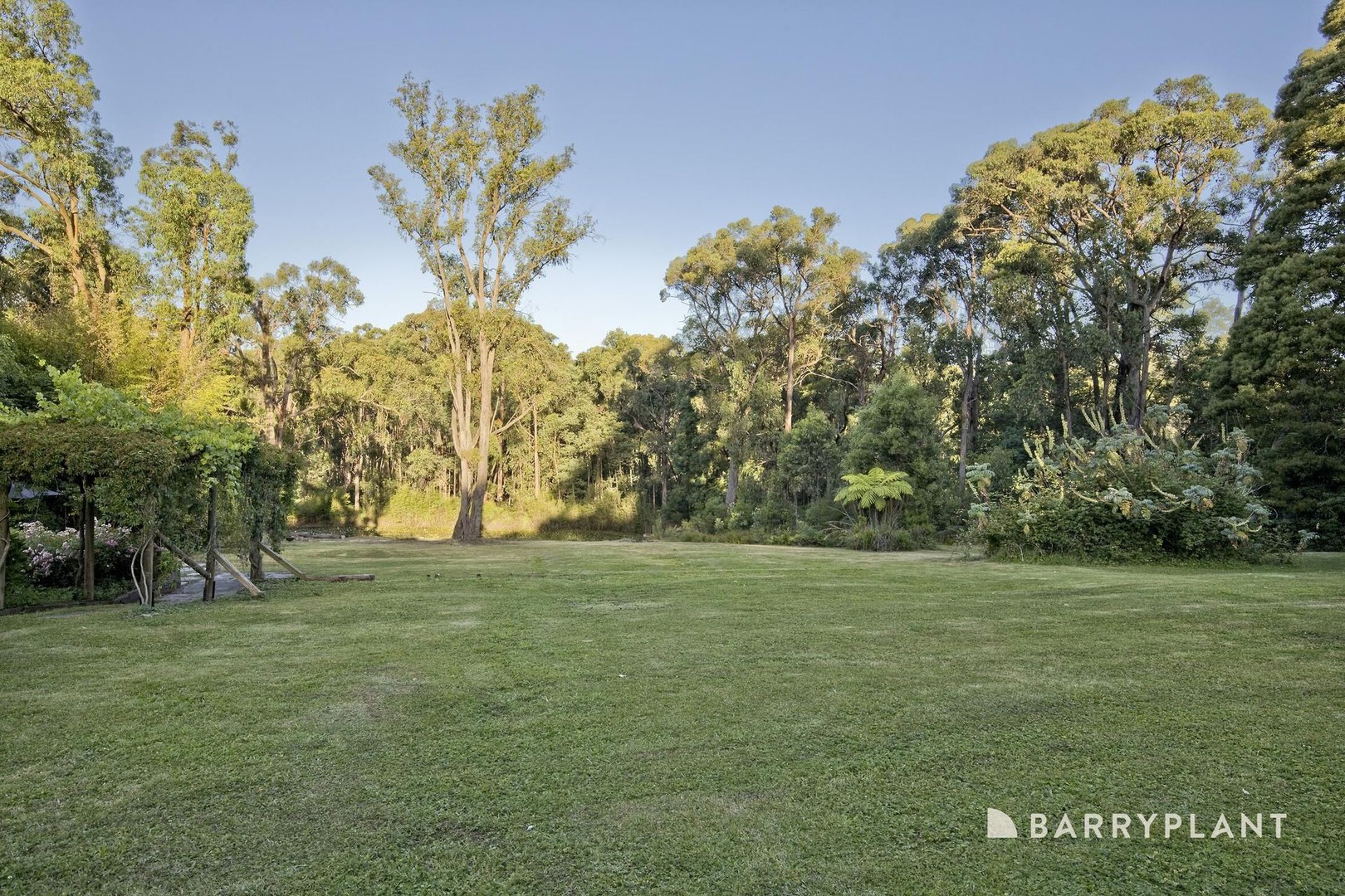 134 Macclesfield Road, Avonsleigh, VIC 3782, Avonsleigh - Thumbnail 3