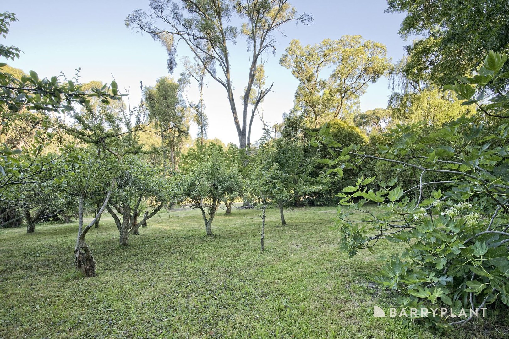 134 Macclesfield Road, Avonsleigh, VIC 3782, Avonsleigh - Thumbnail 5