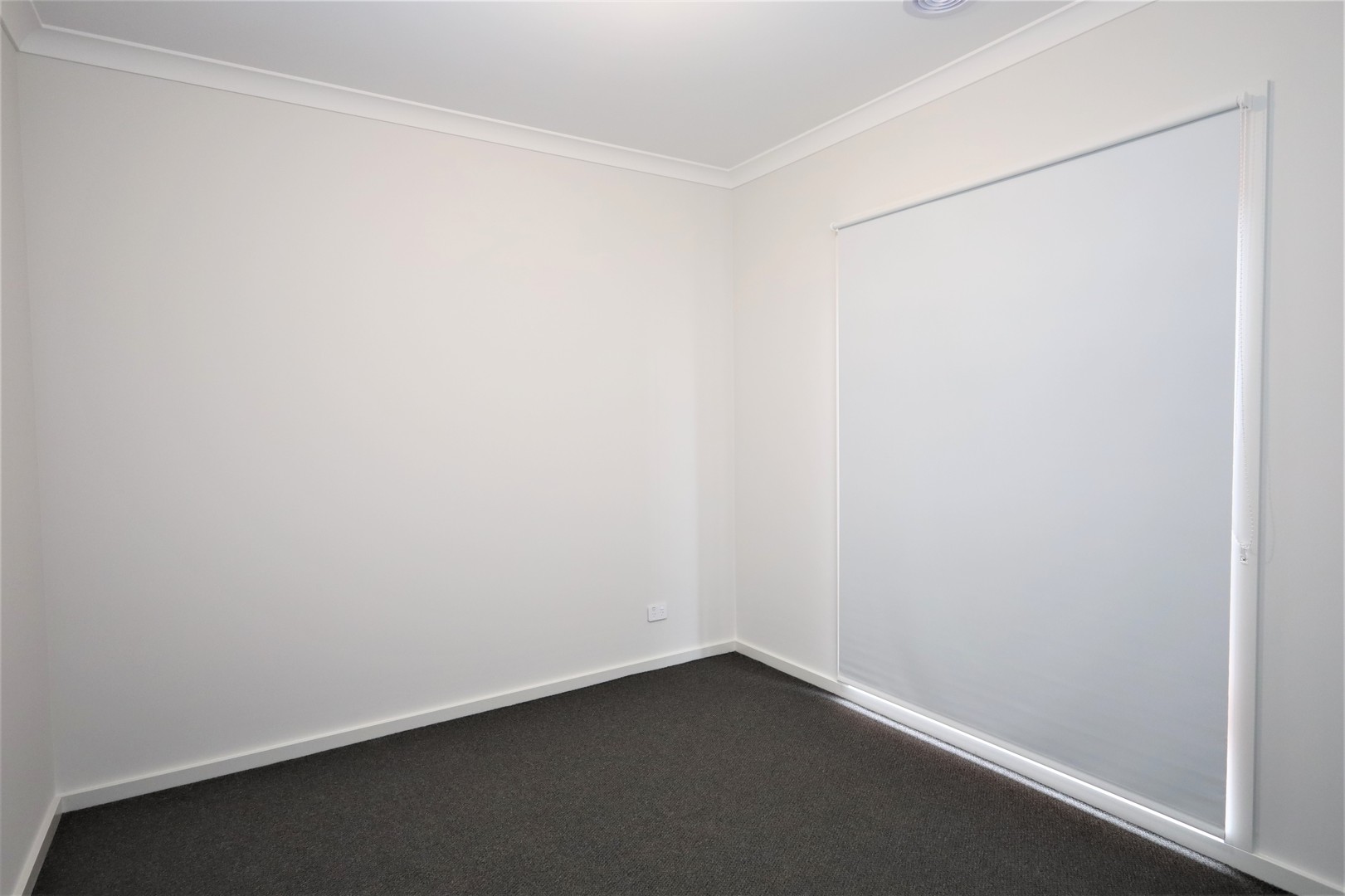 137 Bramley Avenue, Charlemont, VIC 3217, Charlemont - Thumbnail 5