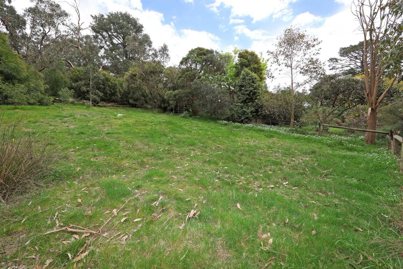 1394 Wellington Road, Lysterfield, VIC 3156, Lysterfield - Thumbnail 3