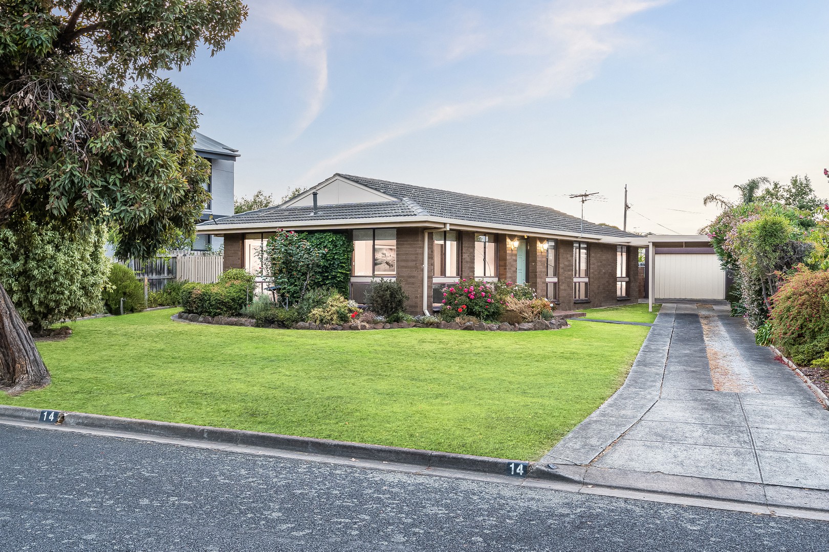 14 Amoore Avenue, Highton, VIC 3216, Highton - Thumbnail 3