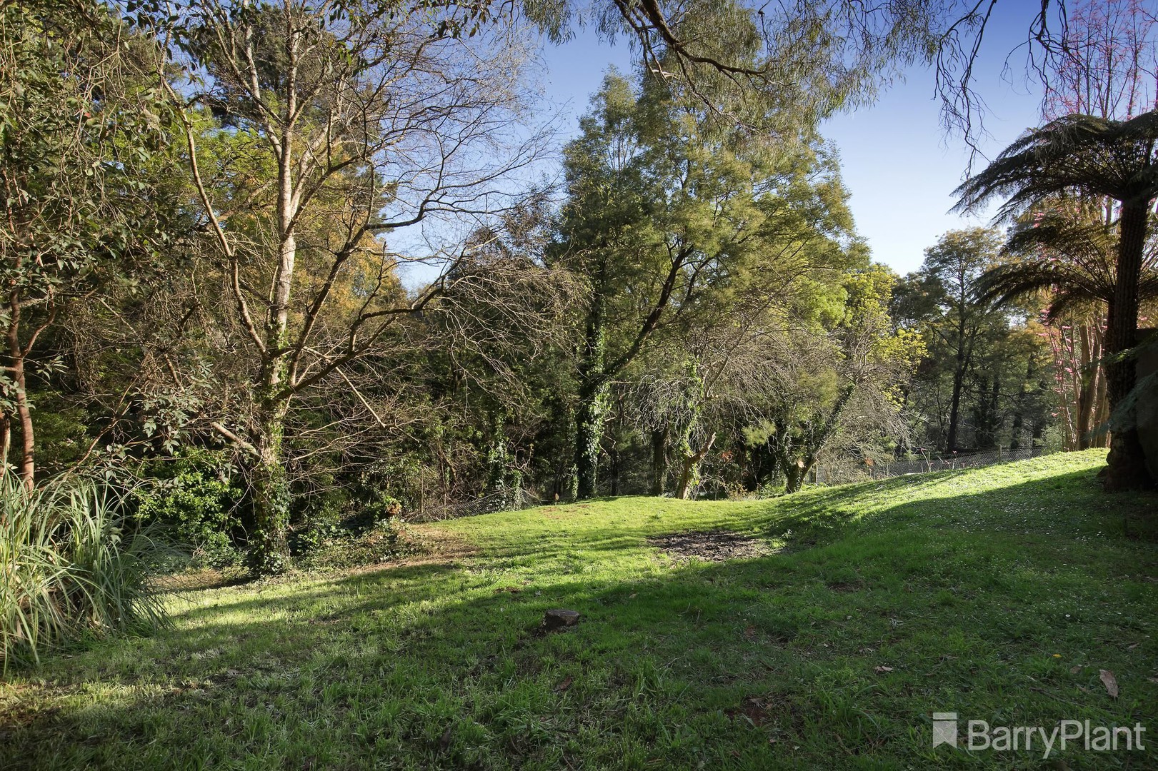 14 Boundary Road West, Emerald, VIC 3782, Emerald - Thumbnail 4