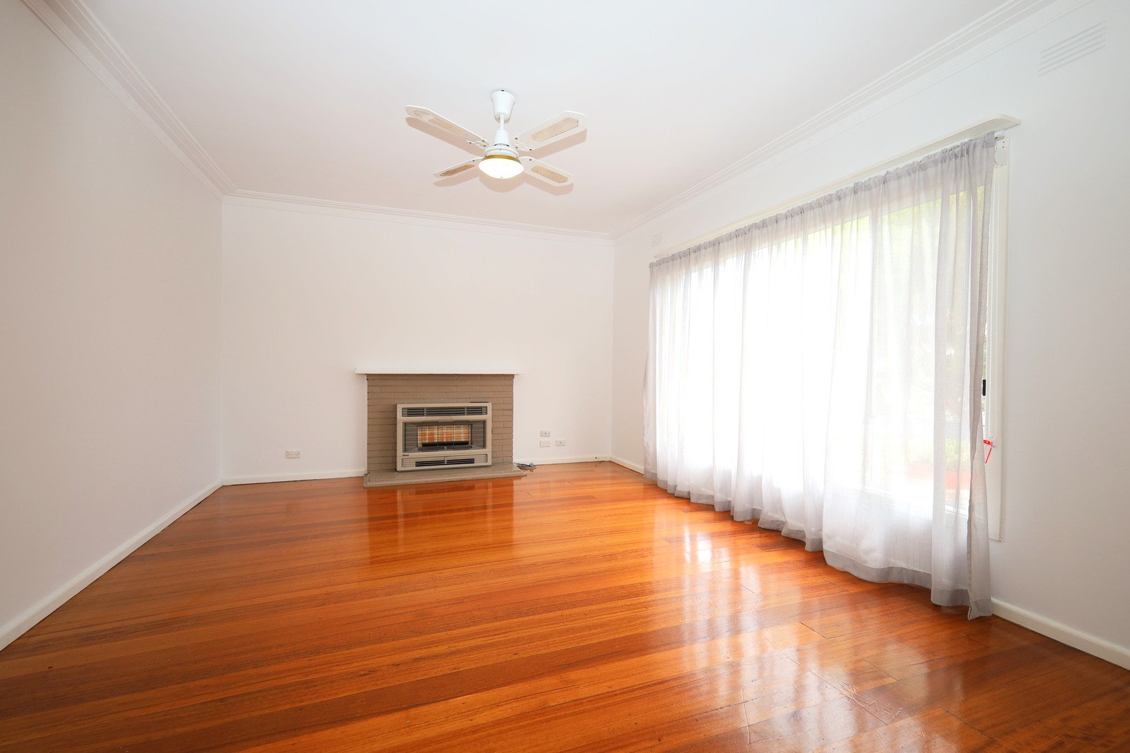 14 Castleton  Road, Herne Hill, VIC 3218, Herne Hill - Thumbnail 4