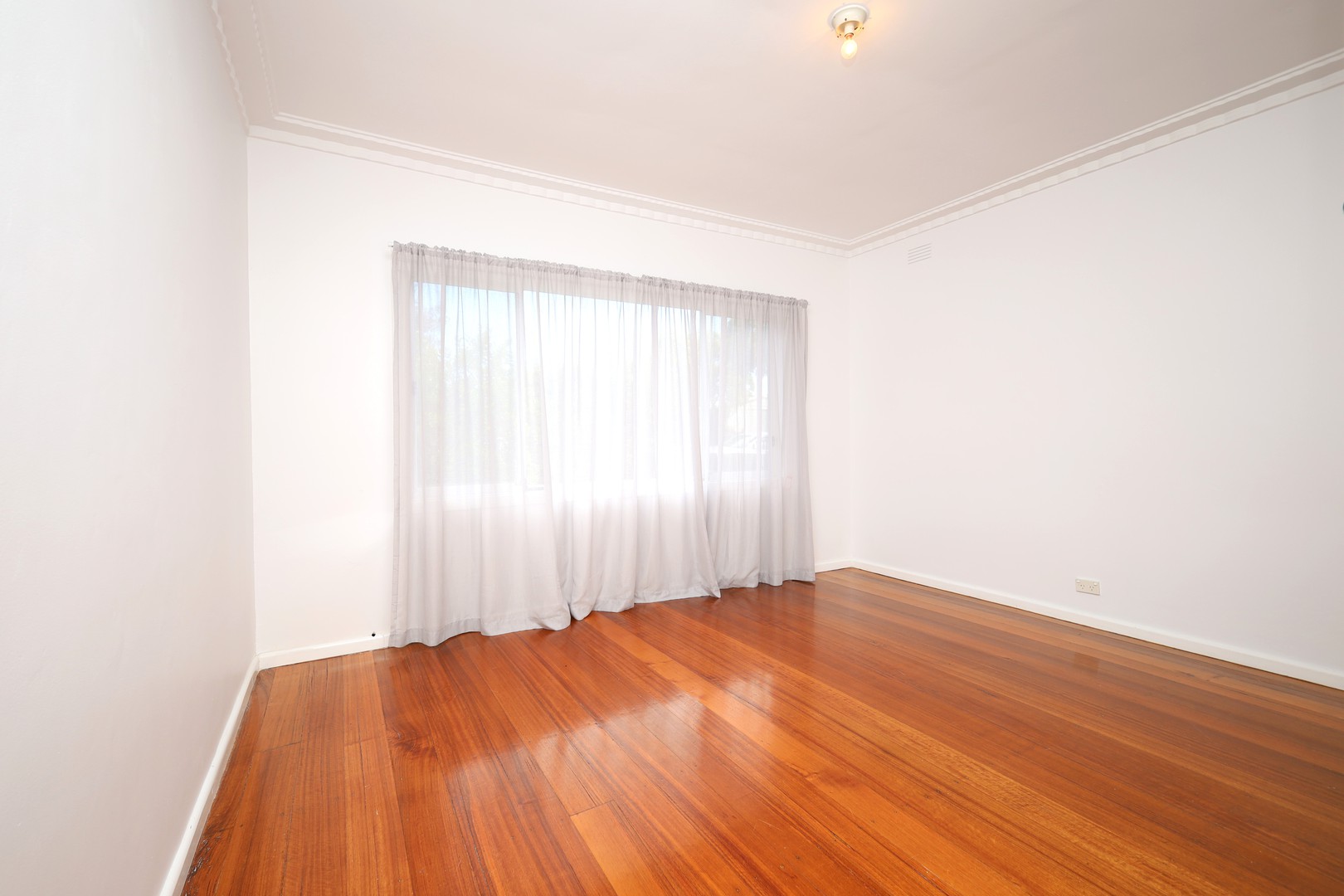 14 Castleton  Road, Herne Hill, VIC 3218, Herne Hill - Thumbnail 5