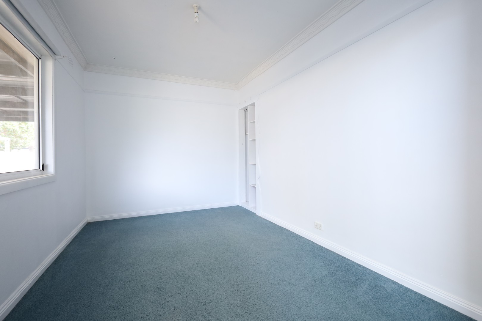 14 Castleton  Road, Herne Hill, VIC 3218, Herne Hill - Thumbnail 8