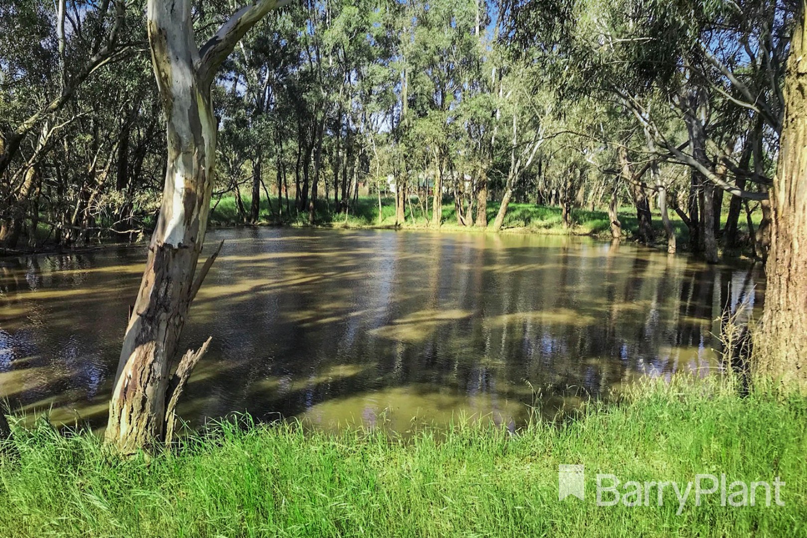 14 Cunningham Lane, Landsborough, VIC 3384, Landsborough - Thumbnail 5