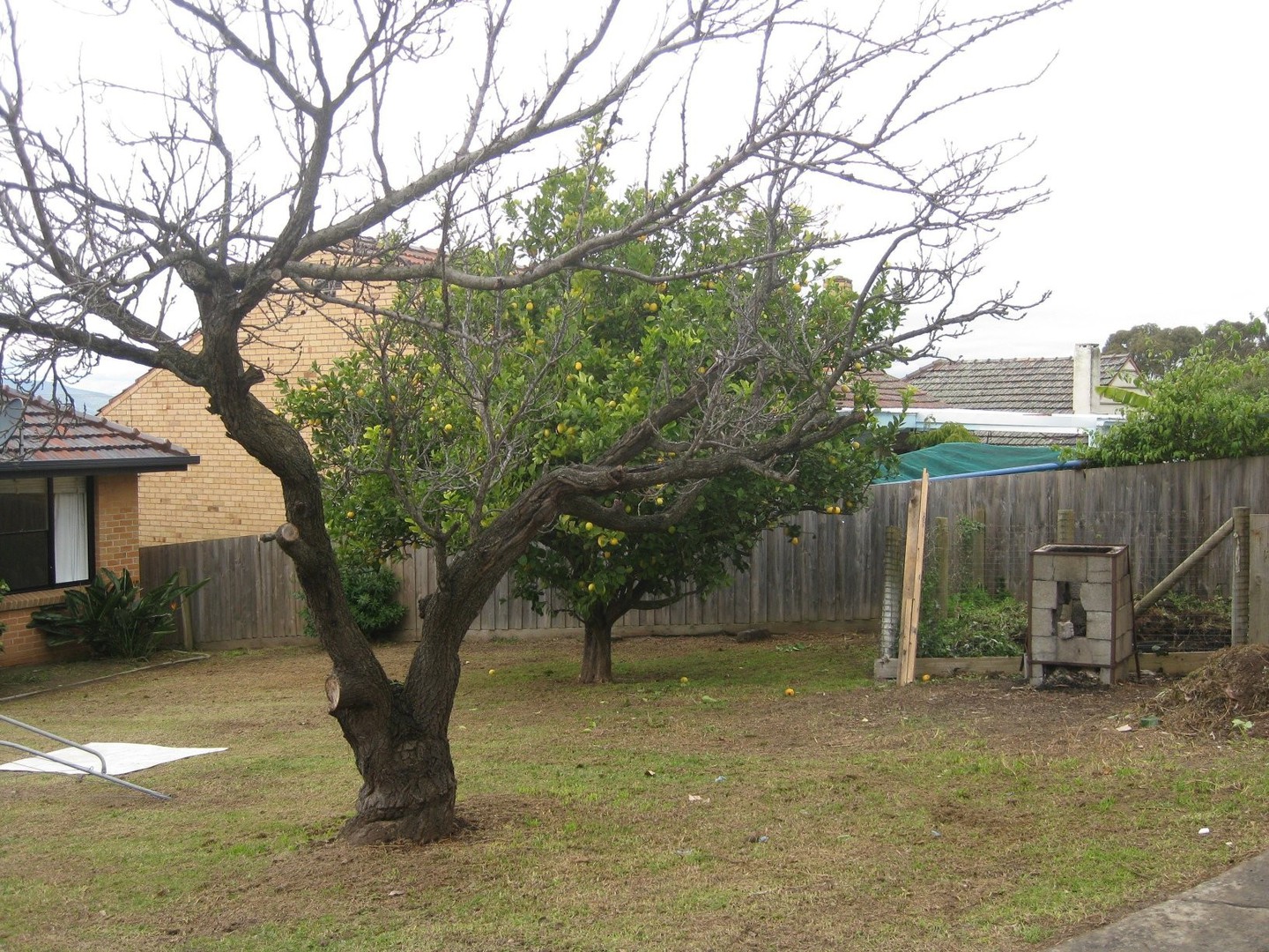 14 Heatherdale Road, Mitcham, VIC 3132, Mitcham - Thumbnail 6