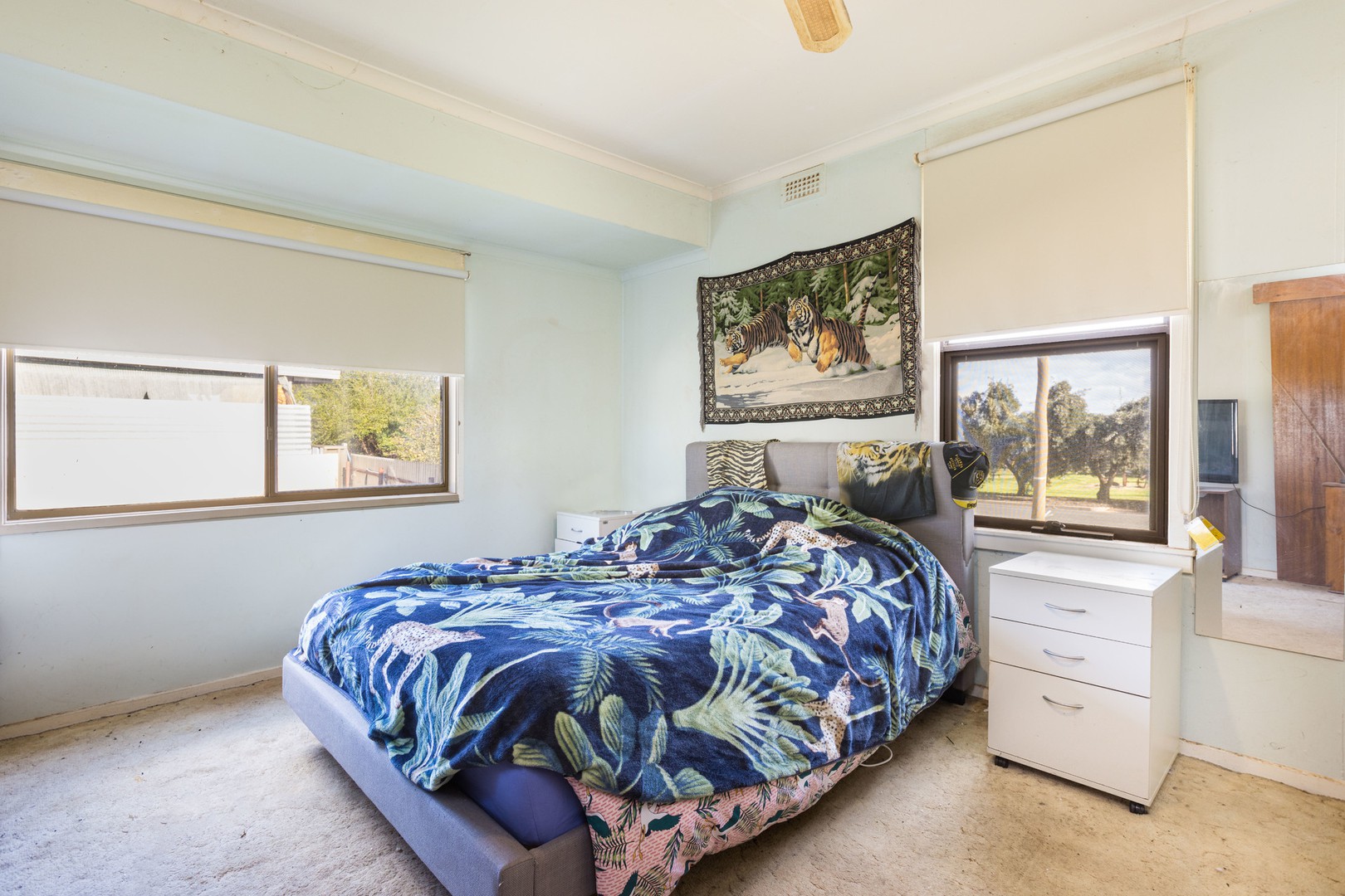 14 Murray Avenue, Red Cliffs, VIC 3496, Red Cliffs - Thumbnail 4