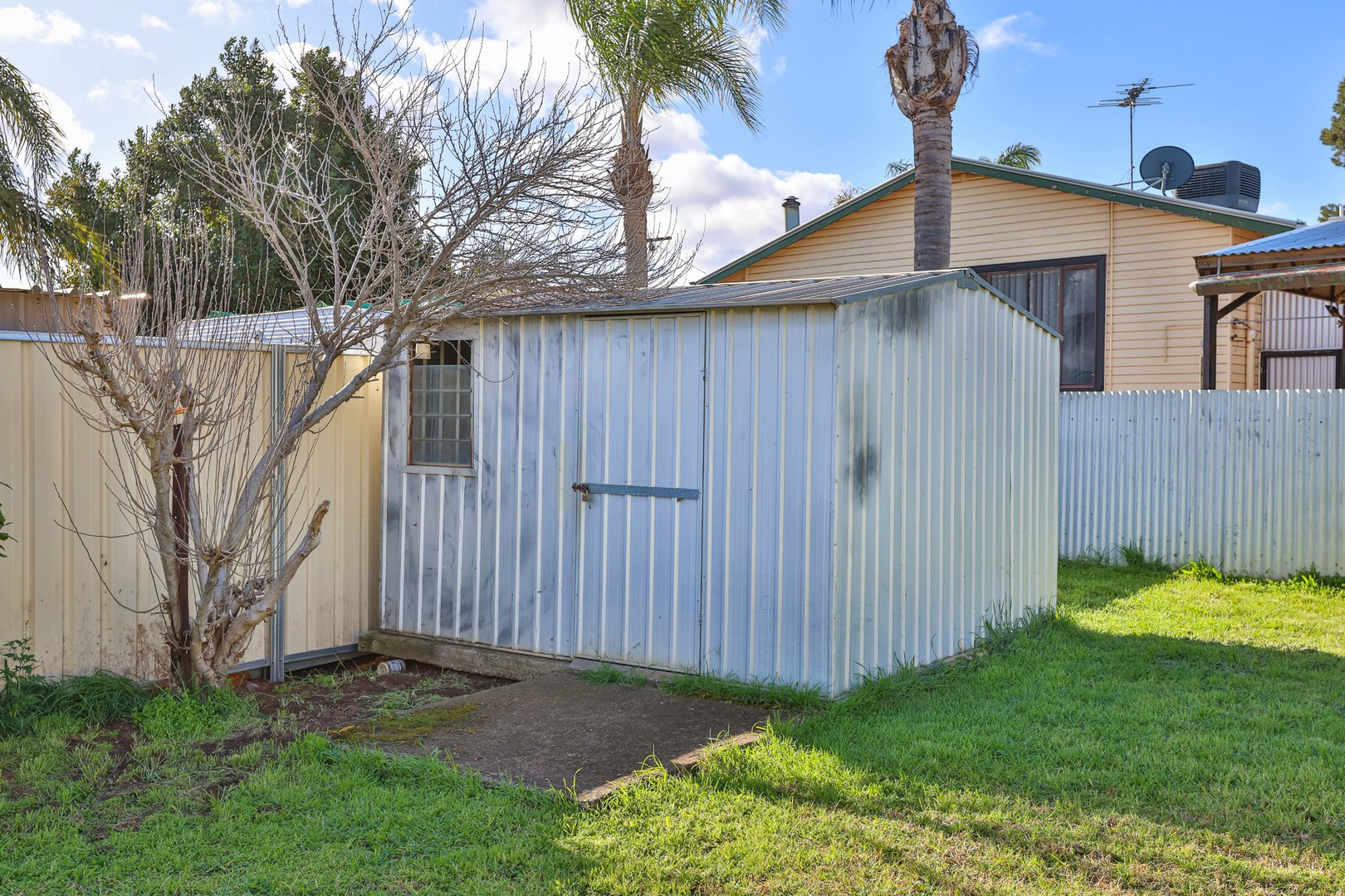 14 Murray Avenue, Red Cliffs, VIC 3496, Red Cliffs - Thumbnail 7