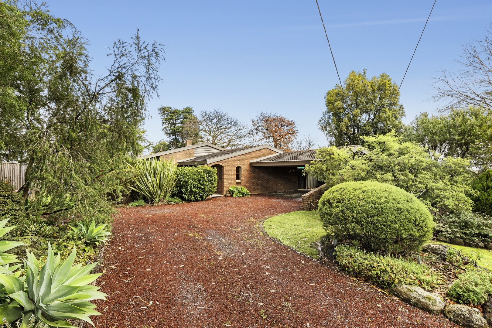 14 Olive Grove, Boronia, VIC 3155, Boronia - Image 1