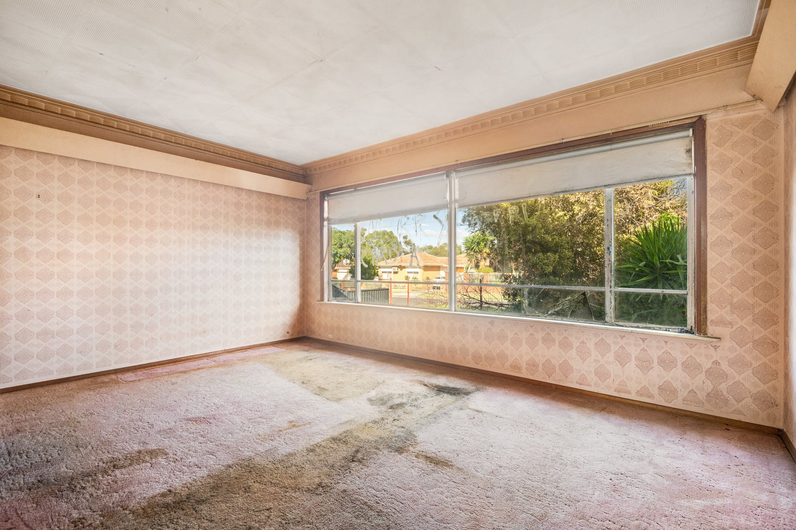 14 Olympic Avenue, Norlane, VIC 3214, Norlane - Thumbnail 4