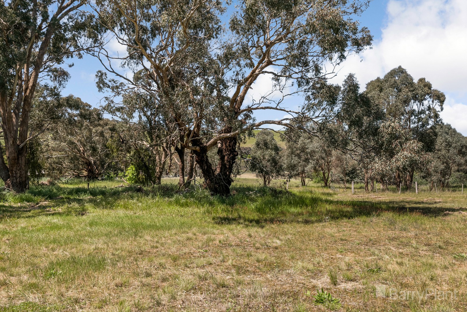 14 Station StreetPyalong, VIC 3521, Pyalong - Thumbnail 5