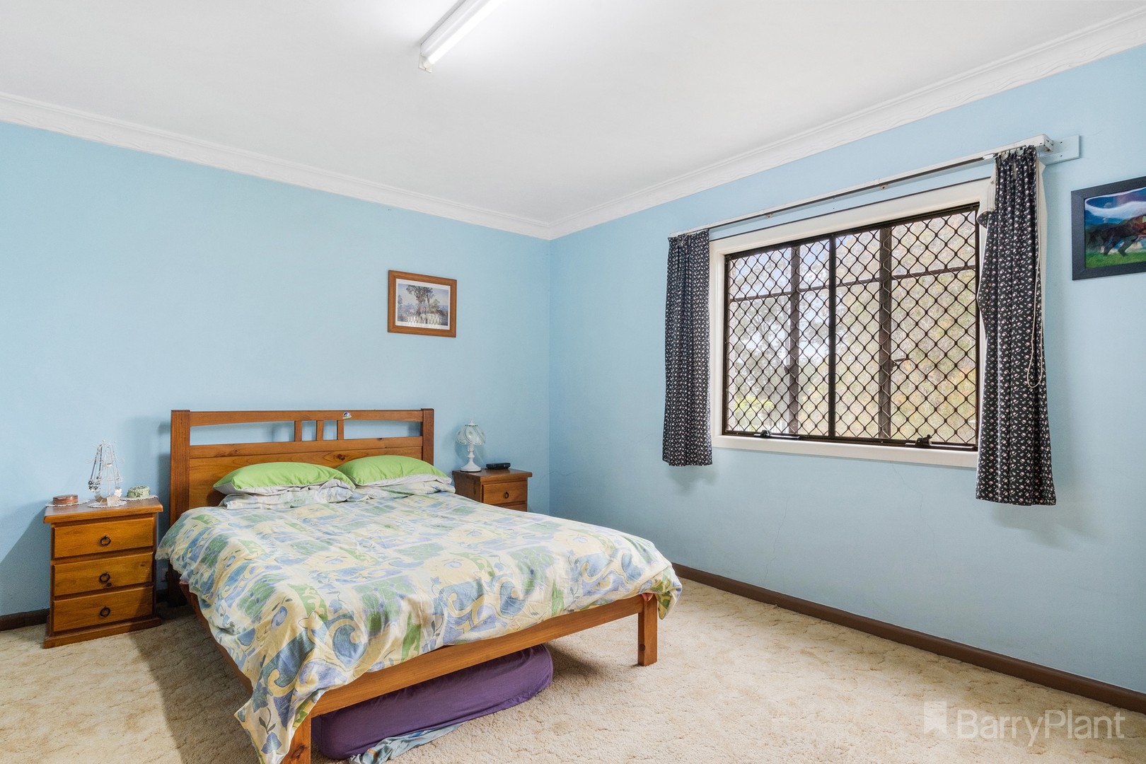 14 Watson AvenueEaglehawk, VIC 3556, Eaglehawk - Thumbnail 7