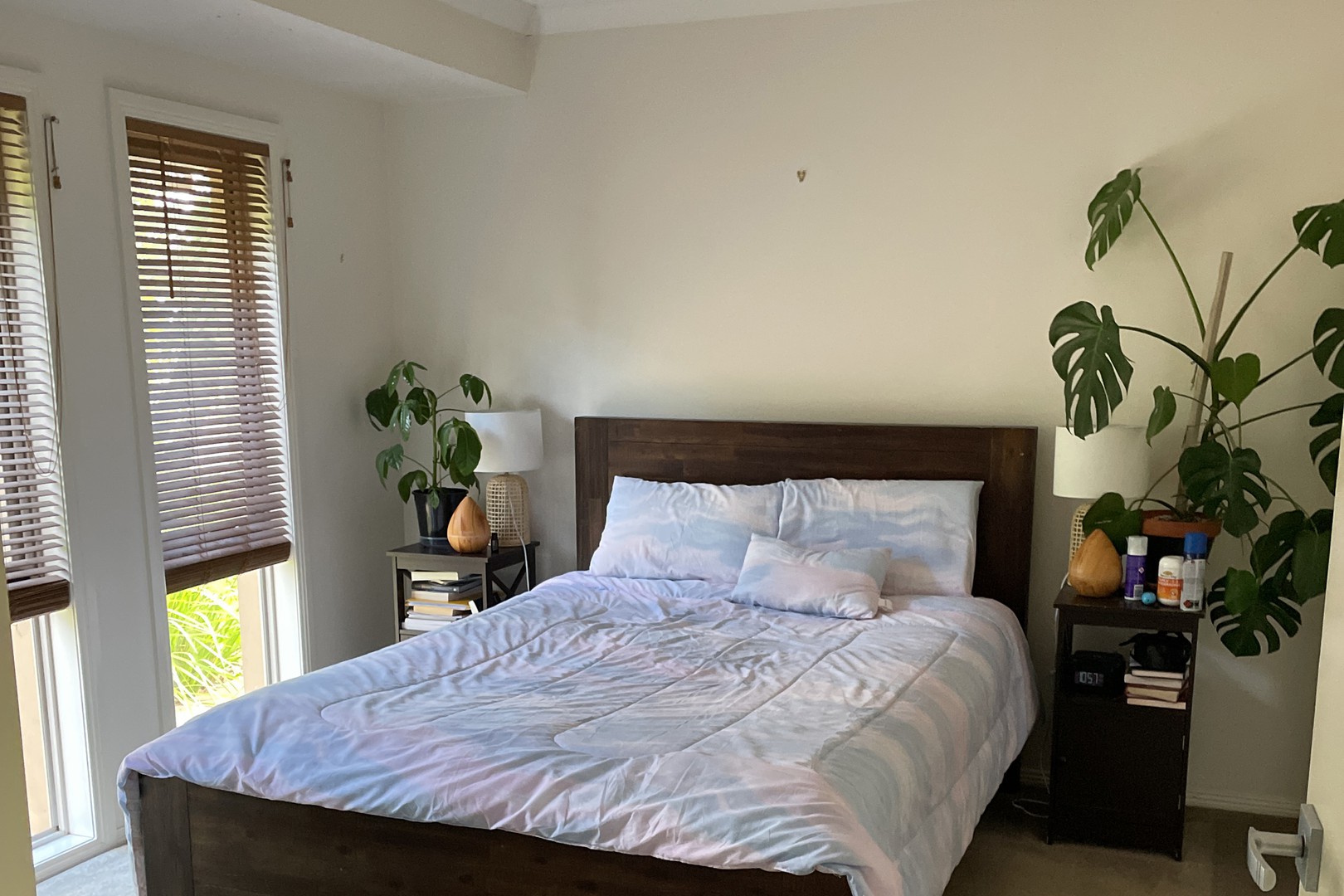 14 Wisteria Way, Mildura, VIC 3500, Mildura - Thumbnail 5