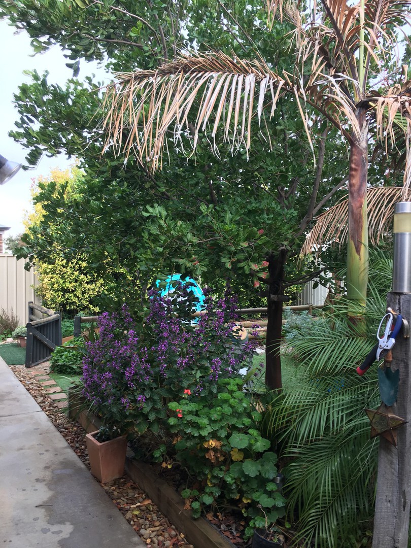 14 Wisteria Way, Mildura, VIC 3500, Mildura - Thumbnail 8
