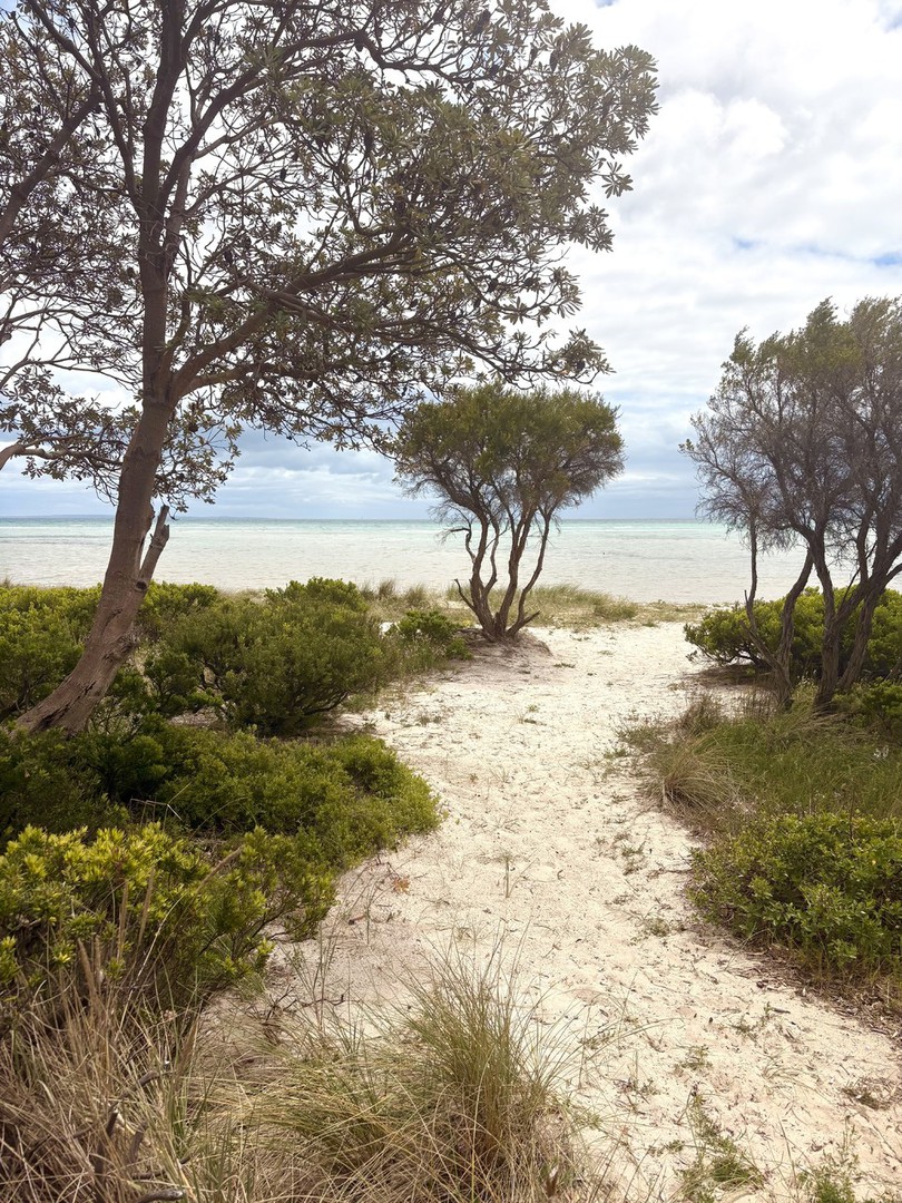 142 Rosebud Foreshore Beach Box Road, Rosebud, VIC 3939 - Thumbnail 1 - 18/11/2025
