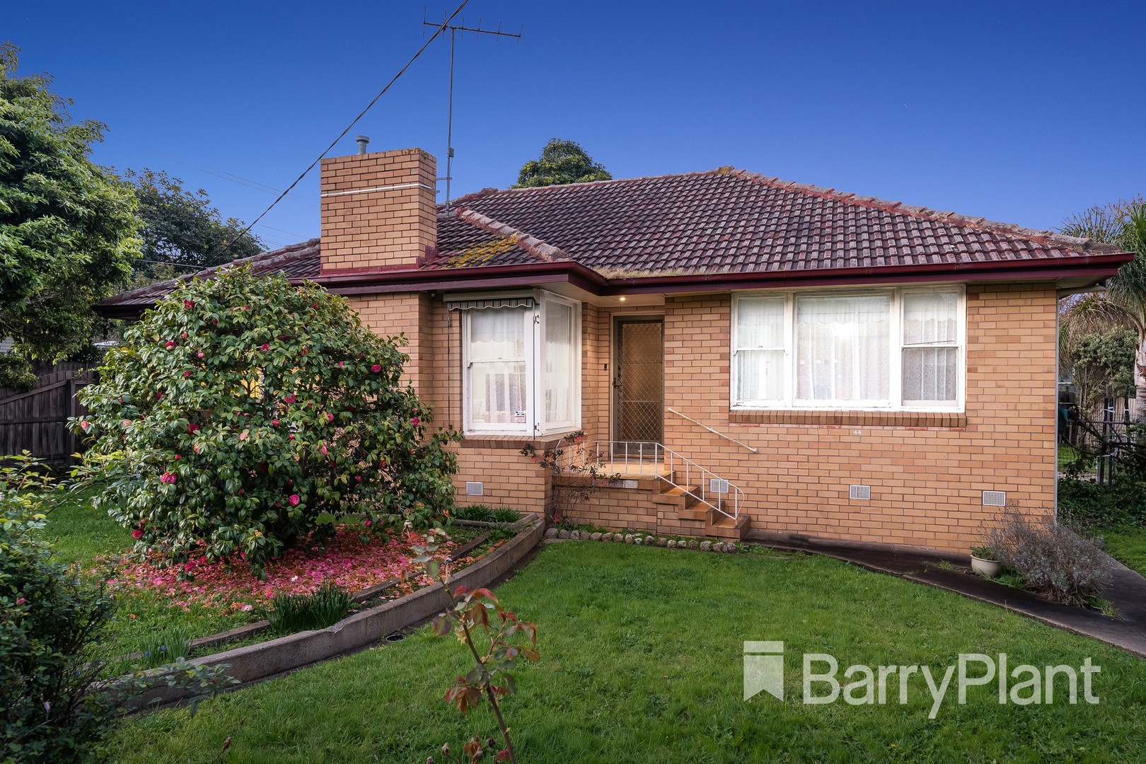 144 Barrabool Road, Highton, VIC 3216, Highton - Thumbnail 2