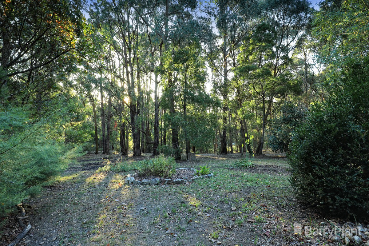 145 Kirk Road, Cockatoo, VIC 3781, Cockatoo - Thumbnail 5