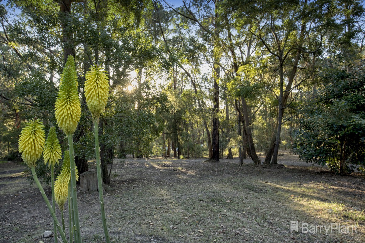 145 Kirk Road, Cockatoo, VIC 3781, Cockatoo - Thumbnail 6