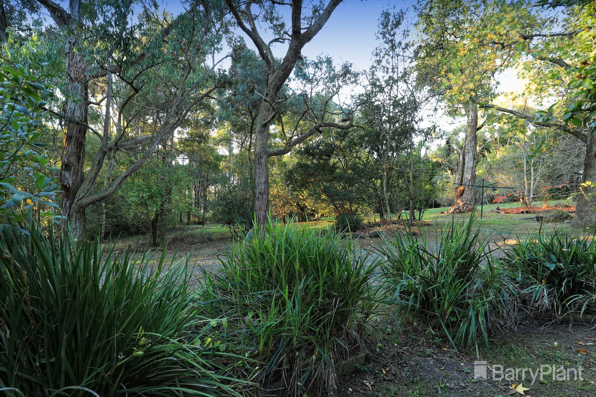 145 Kirk Road, Cockatoo, VIC 3781, Cockatoo - Thumbnail 7