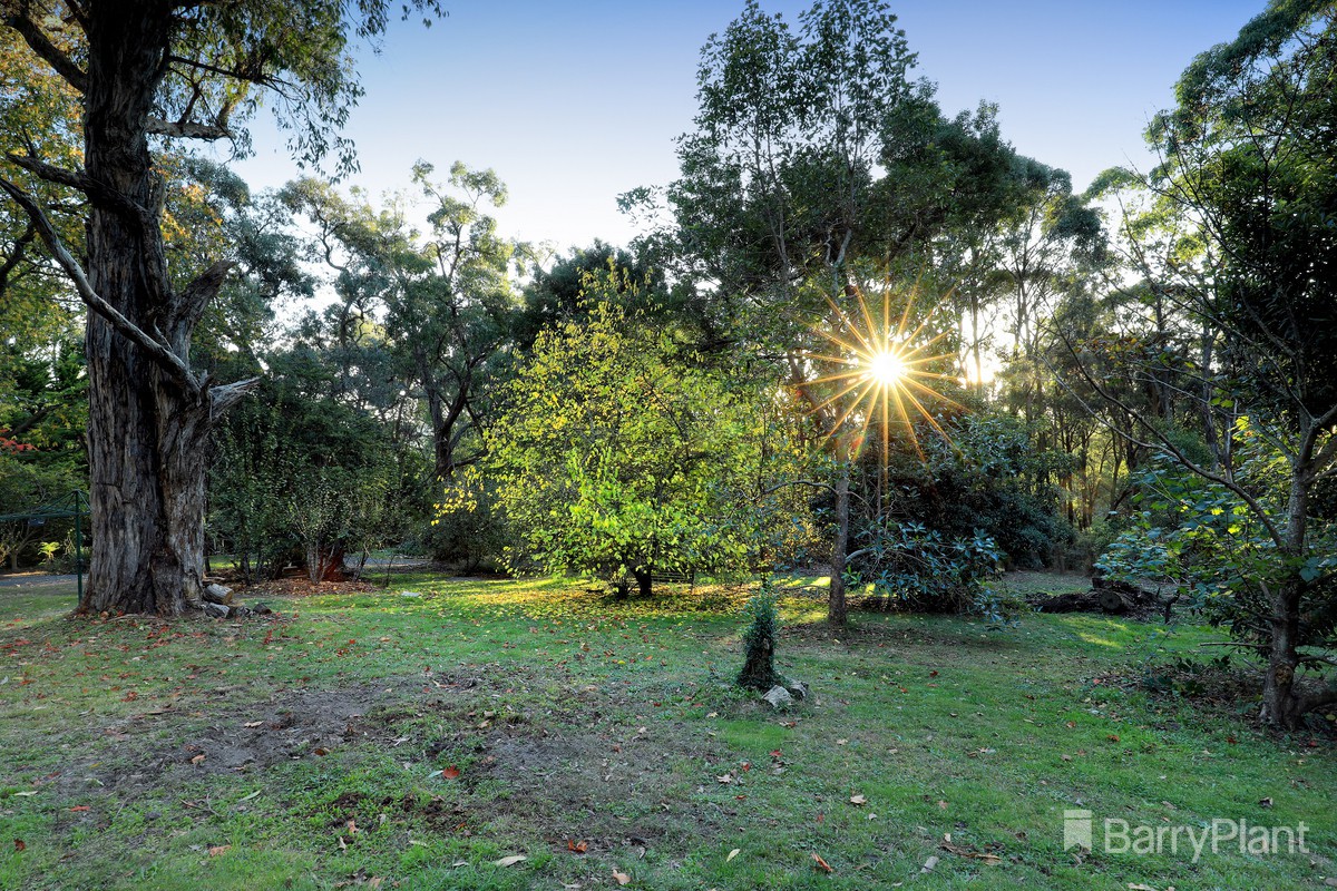 145 Kirk Road, Cockatoo, VIC 3781, Cockatoo - Thumbnail 3