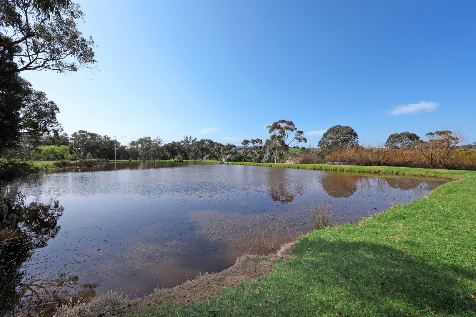1470 Wellington Road, Lysterfield, VIC 3156, Lysterfield - Thumbnail 4