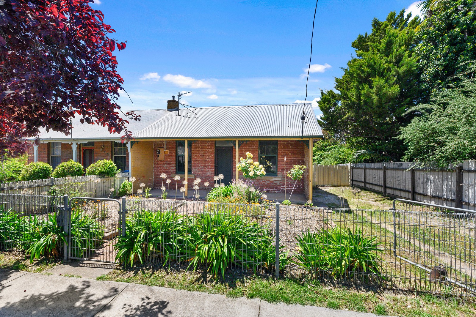 149 Mitchell Street, Bendigo, VIC 3550, Bendigo - Thumbnail 2
