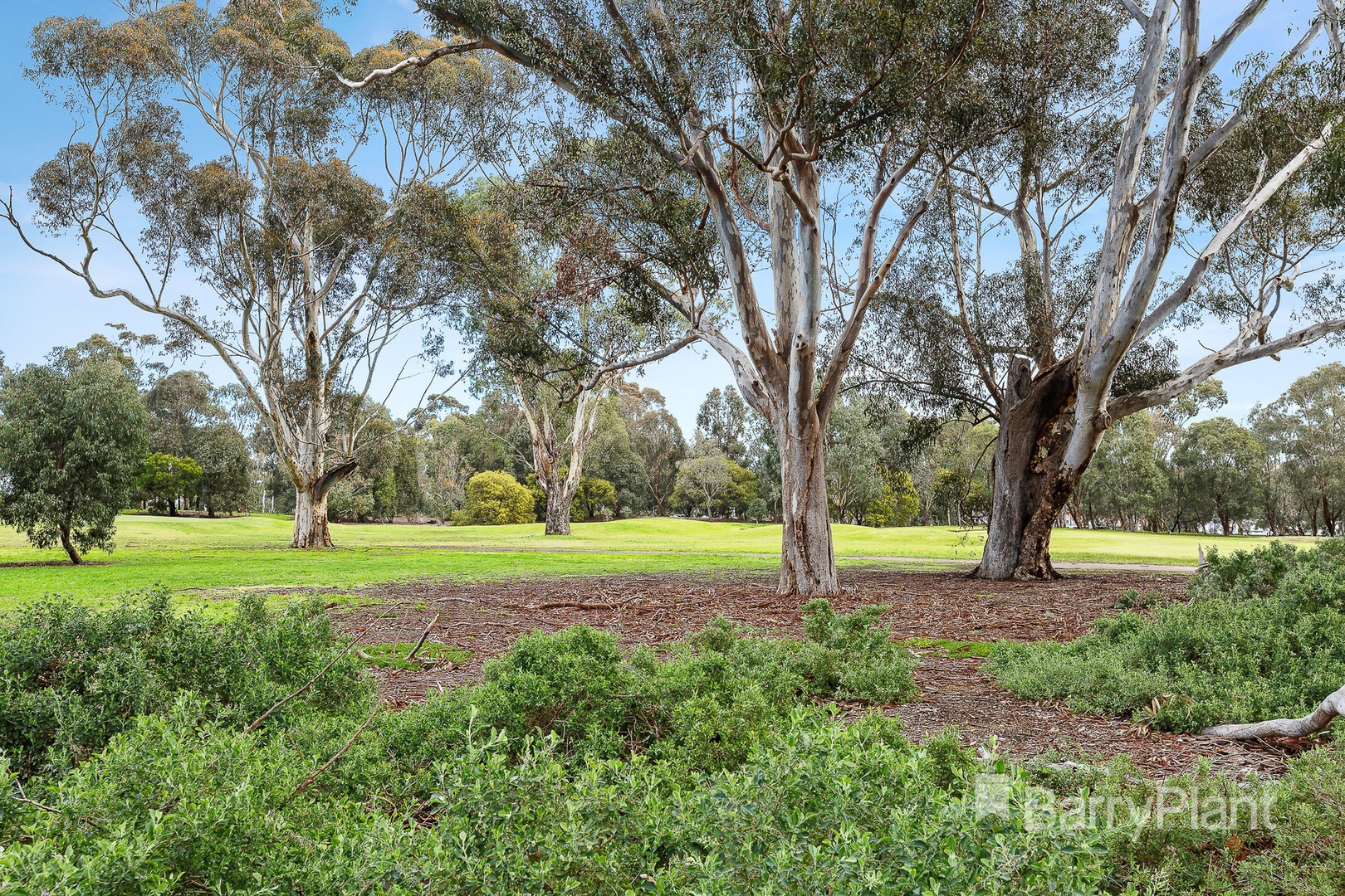 15/212 The Avenue, Parkville, VIC 3052, Parkville - Thumbnail 8