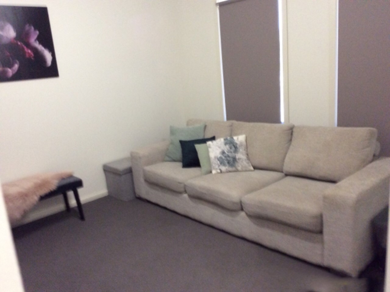 15 Davlin Drive, Mildura, VIC 3500, Mildura - Thumbnail 5