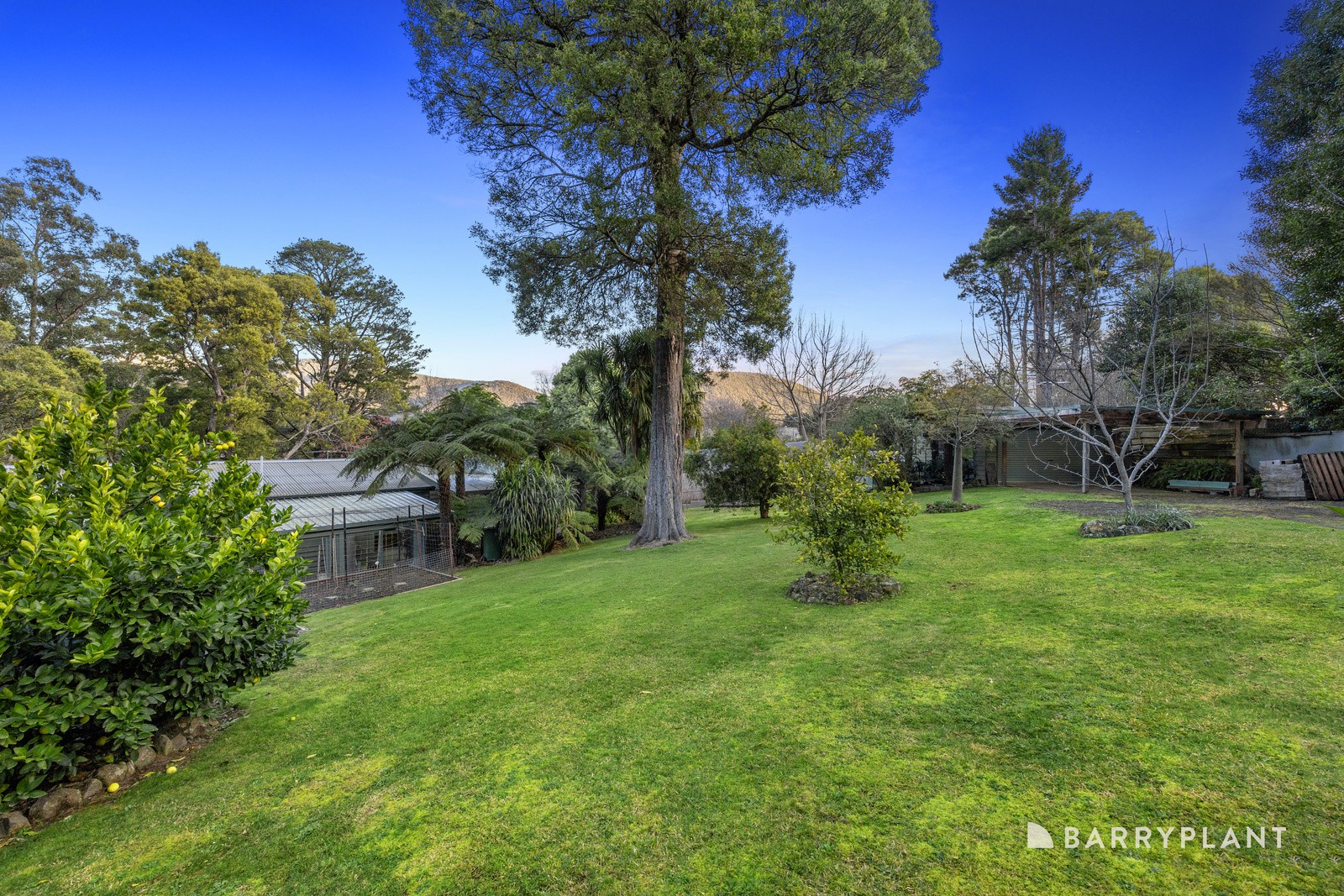 15 Sussex Street, Warburton, VIC 3799, Warburton - Thumbnail 8