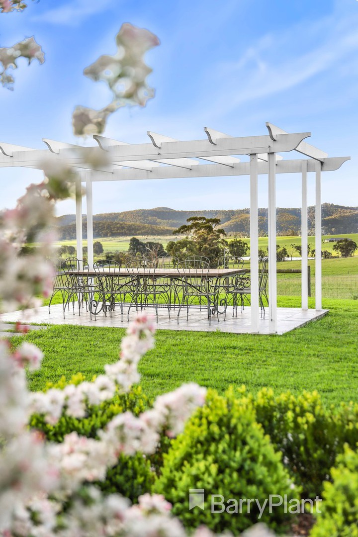 156 Victoria Road, Coldstream, VIC 3770, Coldstream - Thumbnail 6