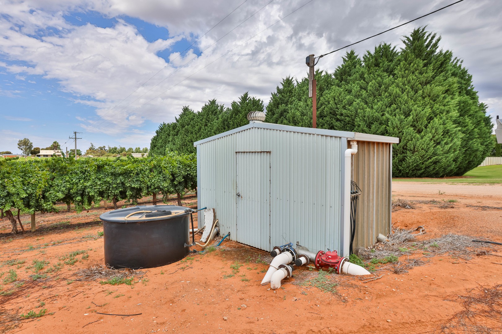 157 Cassia Street, Red Cliffs, VIC 3496, Red Cliffs - Thumbnail 4