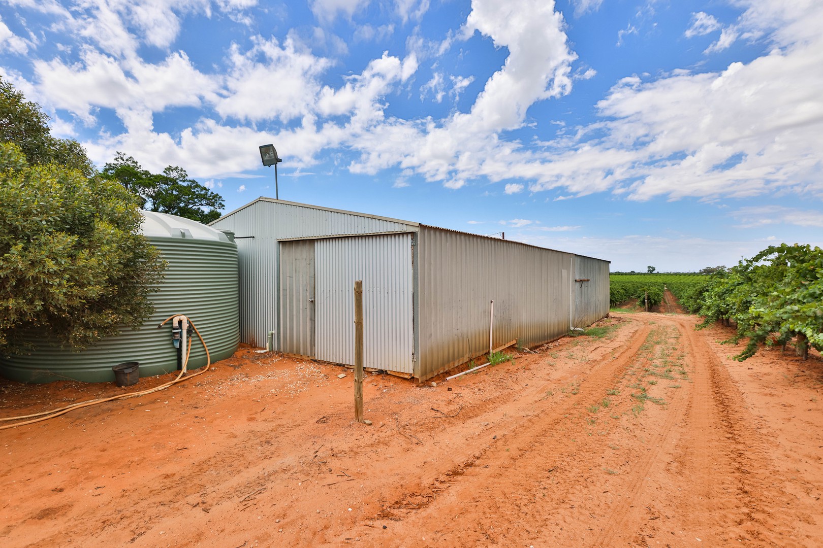 157 Cassia Street, Red Cliffs, VIC 3496, Red Cliffs - Thumbnail 7