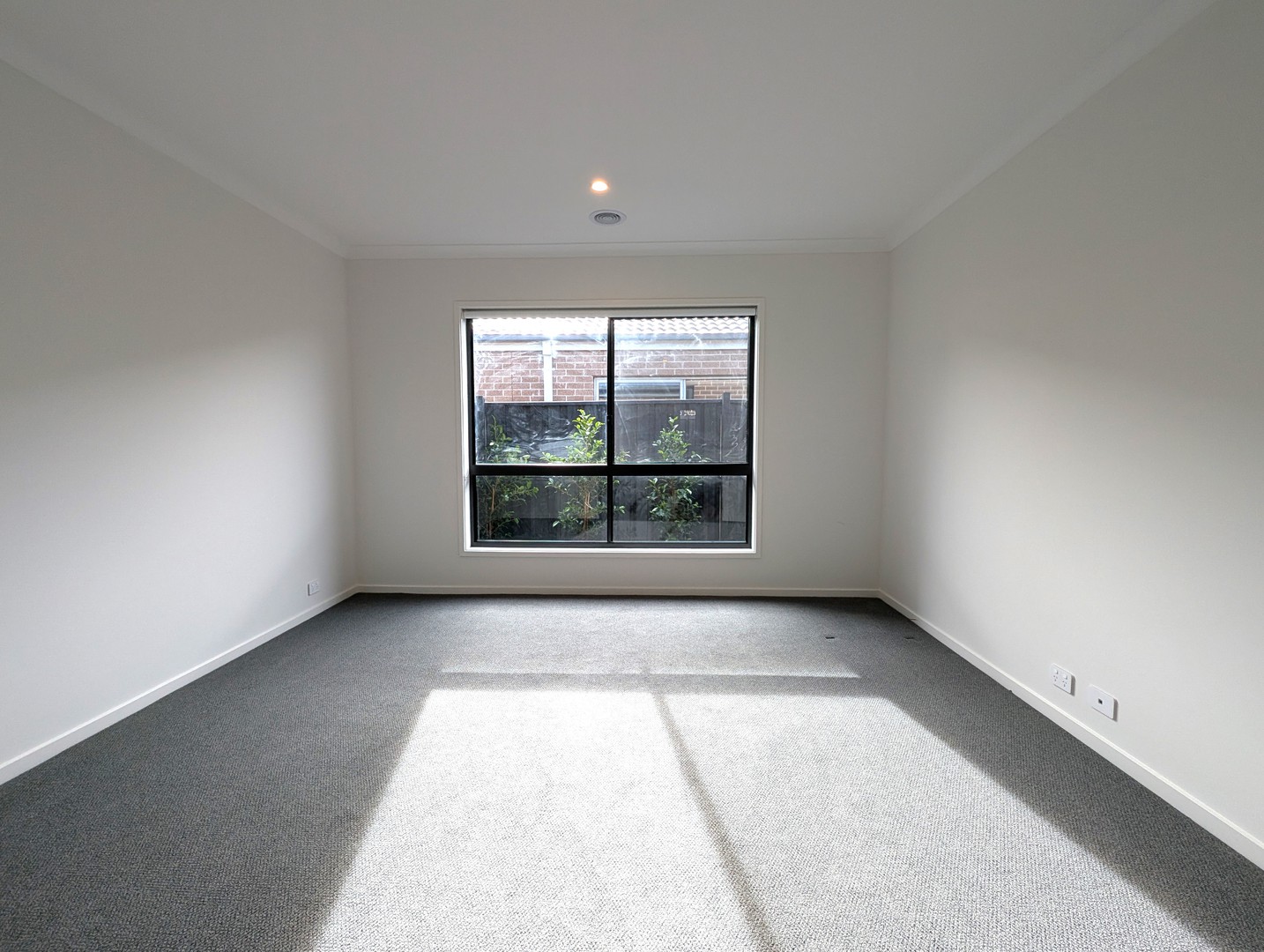 16 Codrington Street, Charlemont, VIC 3217, Charlemont - Thumbnail 5