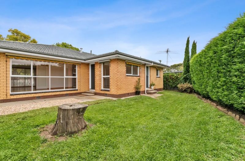 16 Everett Cl, Herne Hill, VIC 3218, Herne Hill - Thumbnail 7