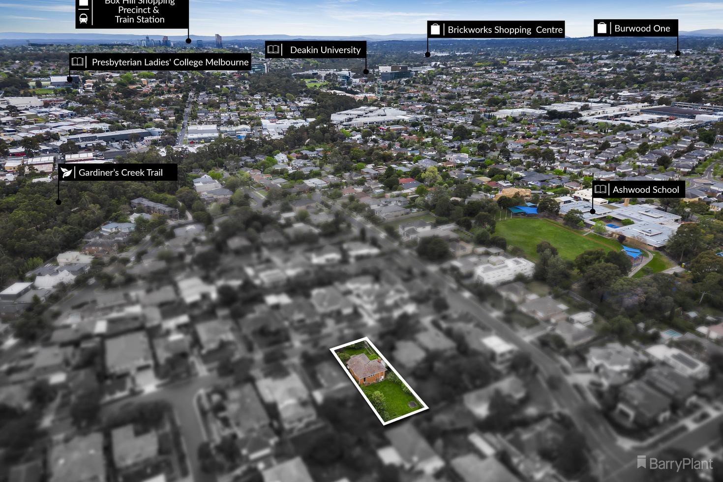 16 Kanooka Avenue, Ashwood, VIC 3147, Ashwood - Thumbnail 3