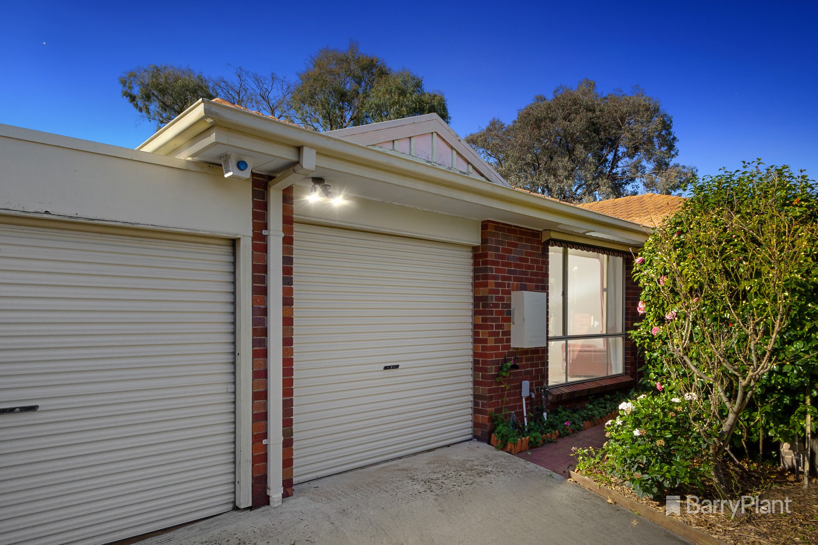 16 Lyrebird Court, Boronia, VIC 3155, Boronia - Thumbnail 4