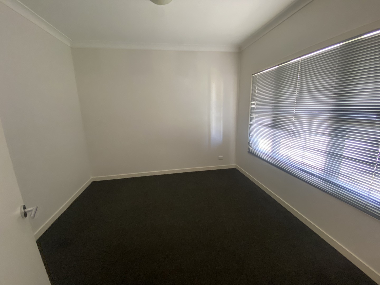 16 Mernda Parade, Belmont, VIC 3216, Belmont - Thumbnail 8