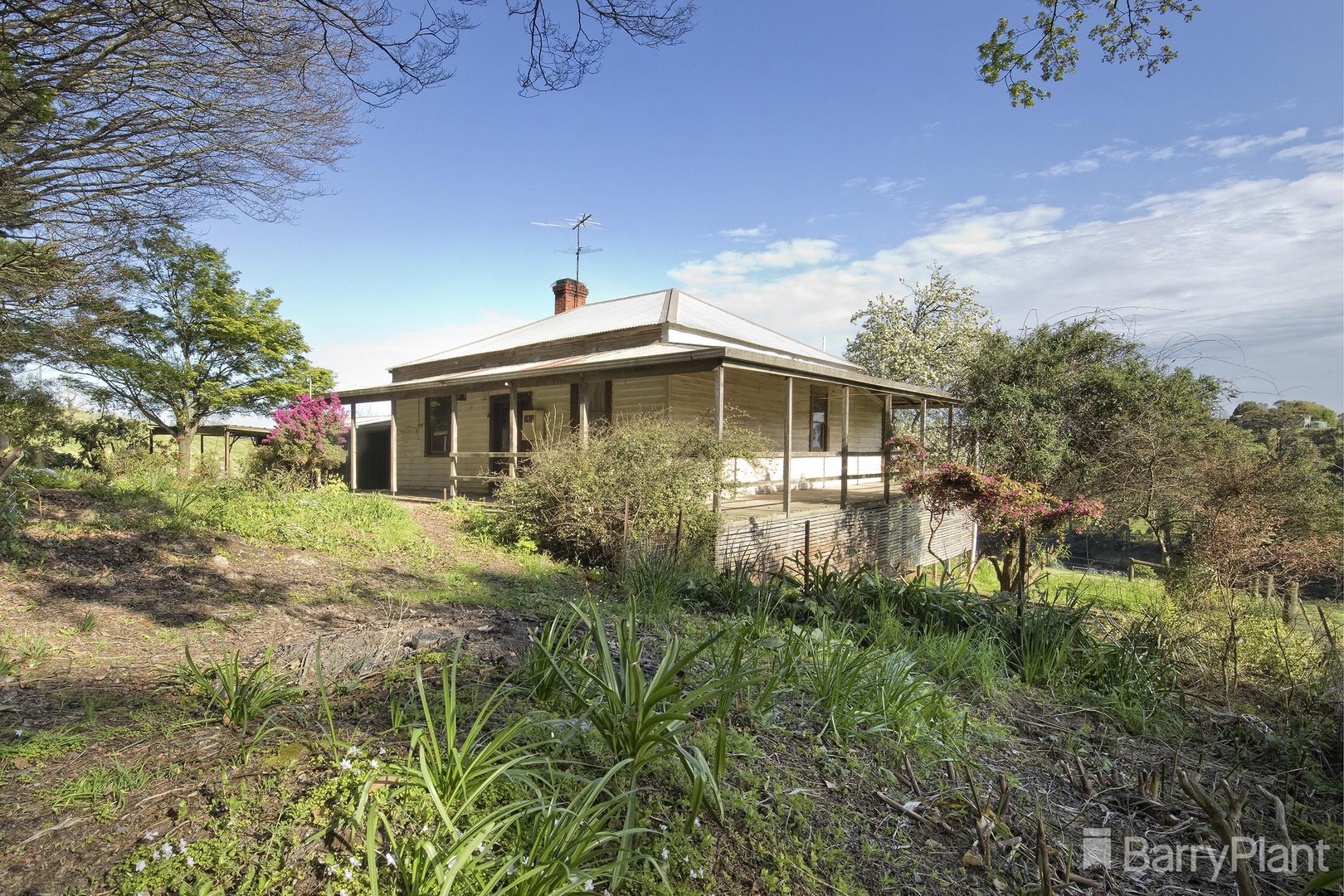 16 Mount Burnett Road, Mount Burnett, VIC 3781, Mount Burnett - Thumbnail 3
